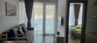 Apartman Niki Borovi - 9