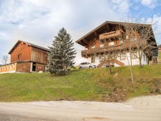 Rauchenbacher Apartments, Mittersill - Mittersill - 9