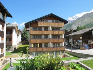 Appartementhaus Venetz SAAS107 ruhige Lage direkt an SKIBUSHALTESTELLE - Saas-Fee - 9