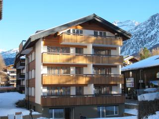 Appartementhaus Venetz SAAS107 ruhige Lage direkt an SKIBUSHALTESTELLE - Saas-Fee - 4