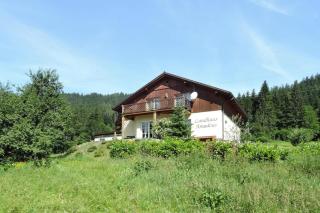 Landhaus Amadeus, Radstadt - Radstadt - 7