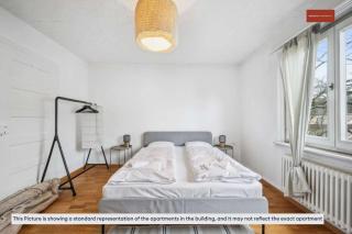 Cozy and Simple2BR Apartment with Natural Light - Zurich - 2