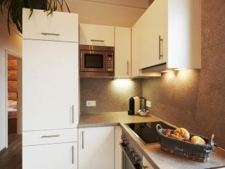 Cosy, modern Canadian wooden chalet - Ladis - 1
