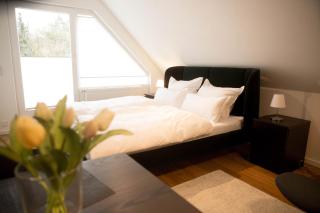 Haus Salinen Bad Rothenfelde - Bad Rothenfelde - 0