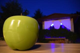 Superior - Ferienhaus am Engelsbach mit Garten und Pool - 6