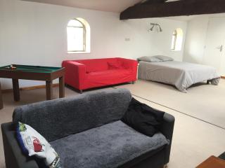 Ancienne ferme 16p proche A46 - Reyrieux - 5