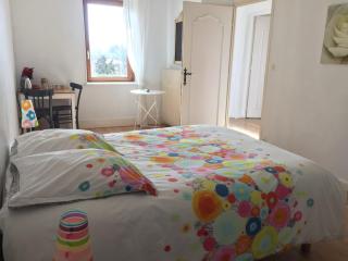 Ancienne ferme 16p proche A46 - Reyrieux - 9