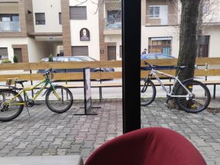 Sandra apartmani - Vršac - 9