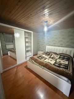 Family Guest House - Bakuriani - 9