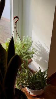 Tahanan Holiday Home - 4