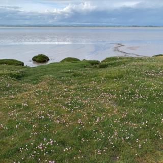 Rose cottage on the peaceful solway coast - 6