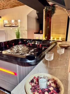 Celje Spa Apartment - 1