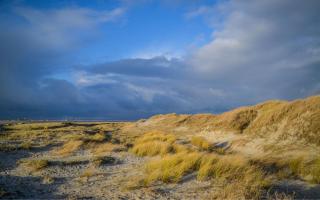 Ferienzimmer Jan - Sankt Peter-Ording - 2