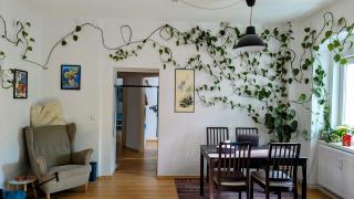 Green & Quiet Apartment in Prenzlauer Berg - Berlim - 8