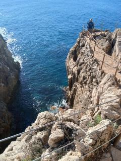 L'olivaie - Antibes - 2