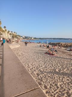 L'olivaie - Antibes - 1
