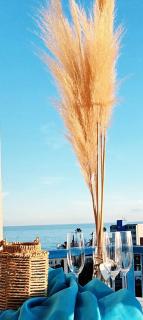 Torremar - Benicarló - 0