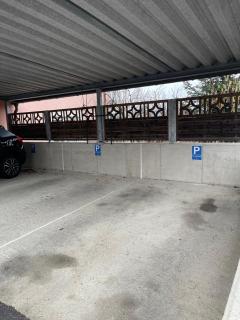 Cozy StudioApartment with Graden in Graz Free Parking - Graz - 1