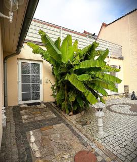 Ferienhaus Im Gässchen - Bad Sulza - 5