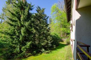 Ferienwohnung Rosi - Bad Sachsa - 1