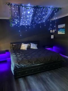 Enchanted Rainforest Sanctuary - Quinns Rocks - 9