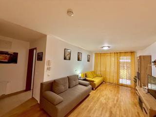 Sunflower Apartment Moravske Toplice - Moravske Toplice - 1