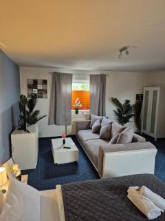 HANNIBAL - Studio-Apartment Gladiole 1 - Wolfsburg - 3