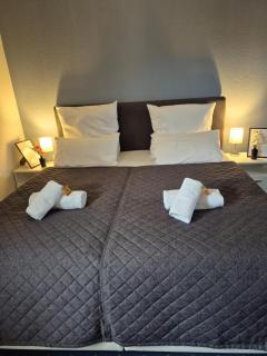 HANNIBAL - Studio-Apartment Gladiole 1 - Wolfsburg - 2