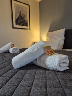HANNIBAL - Studio-Apartment Gladiole 1 - Wolfsburg - 5