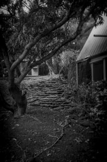 Chalet tropical vue mer - 4