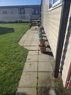 Trecco bay birch - 6