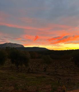 La tiny house sainte victoire - 4