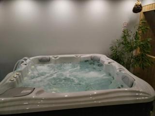 Villa Spa Magic - Tuheljske Toplice - 4