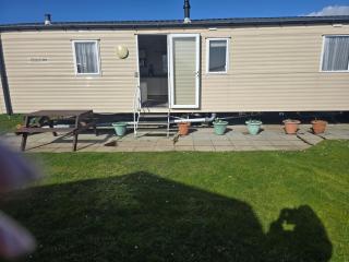 Trecco bay birch - Newton - 0