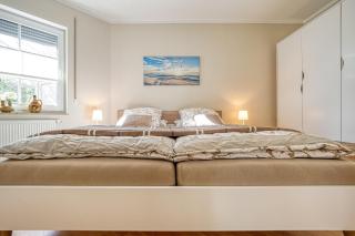 An der alten Rotbuche 02 - Zingst - 2