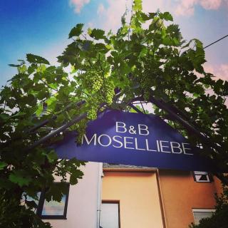 Wohnung 2 Pers 1 Schlafzimmer und Wohnzimmer mit Balkon und Blick auf die Mosel - Ediger-Eller - 1