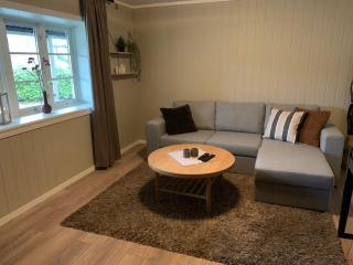 Voss apartment - Vossevangen - 1