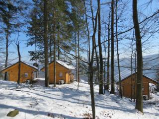 Turistična kmetija Okršlan - Škofja Loka - 9
