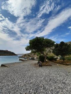 RELAXED PLACE by the sea - Cesarica - 3