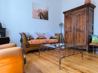 Appartement, 2 chambres, spacieux et plein de charme à 5 min du centre - Pau - 8
