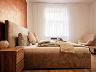 Luxusní apartmán v centru Hradce Králové - Balkon, Wi-Fi zdarma - 0