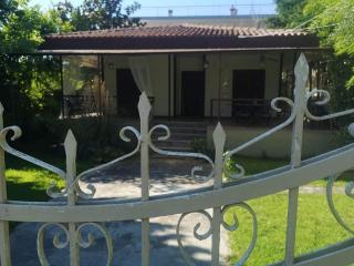 Bamboo garden - Nea Irakleia - 4