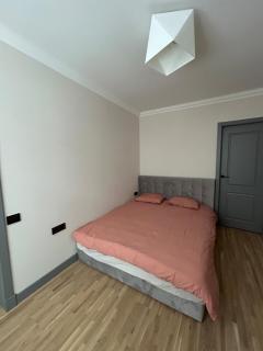 Cozy apartment in Āgenskalns - 5