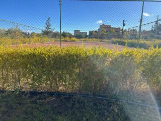 Les Orangers De l'Ourika - Marraquexe - 5