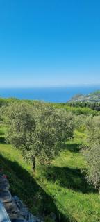 Uliveto Garden - 3