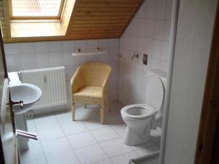 Ferienhaus Nr 23, Typ A, Ferienanlage Blauvogel, Hasselfelde, Harz - Hasselfelde - 1