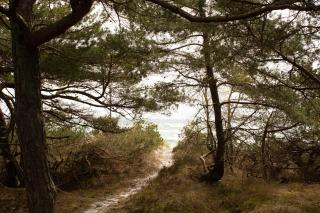 First Row To The Sea At Dueodde Beach - Neksø - 5