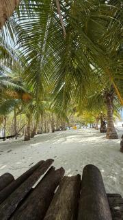 Fishing in Maldives - 2