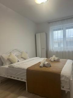 Selina Apart Transilvania Coresi - Braşov - 7