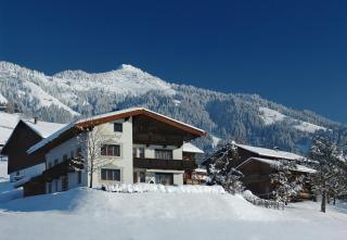Der Sonnenhof - Appartement Steinbergstein - Westendorf - 1